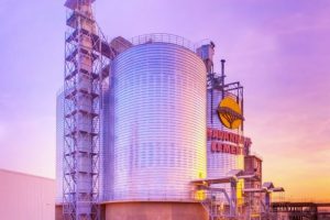 Savannah-Cement-plant